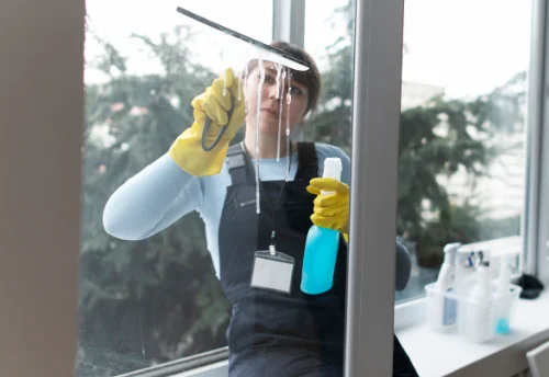 Nettoyage de vitres intérieures et extérieures à Louzy